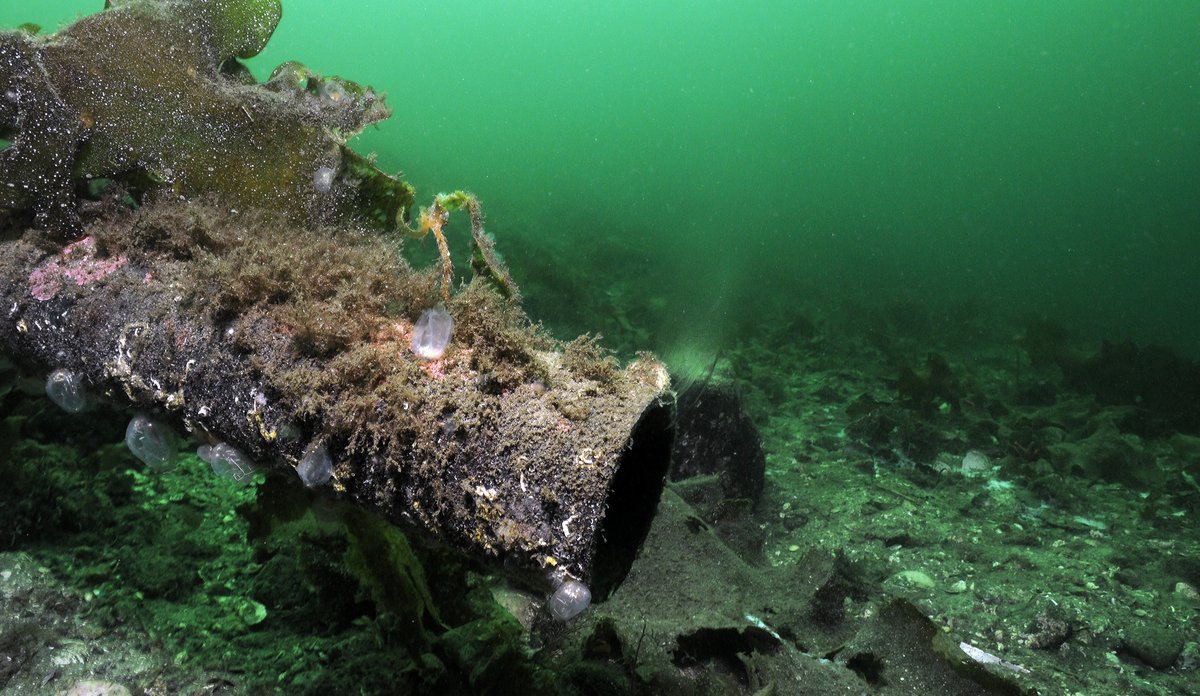 
Enden av et kloakkrør nede på havbunnen.