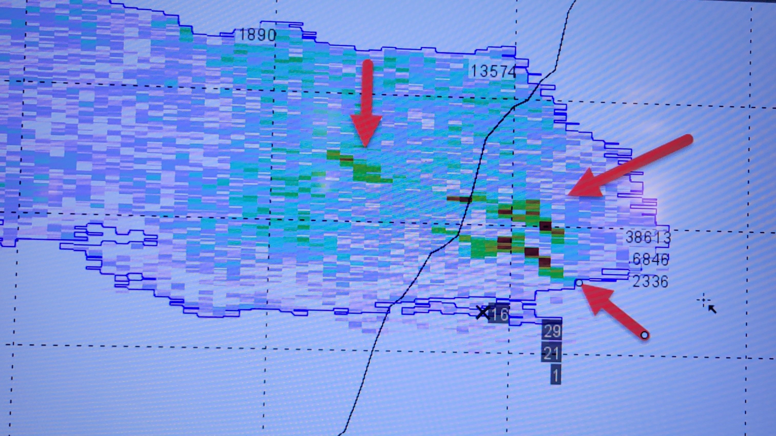 Foto av ekkoloddata med røde piler som indikerer hval inne i en krillstim.