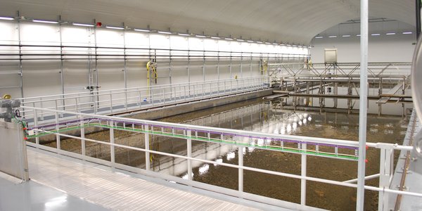 

Grå hall med rekkverk og stort basseng med brunaktig væske i midten.