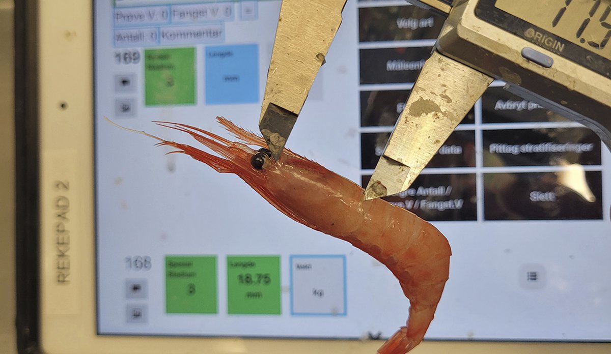 Reke som måles med måleinstrument