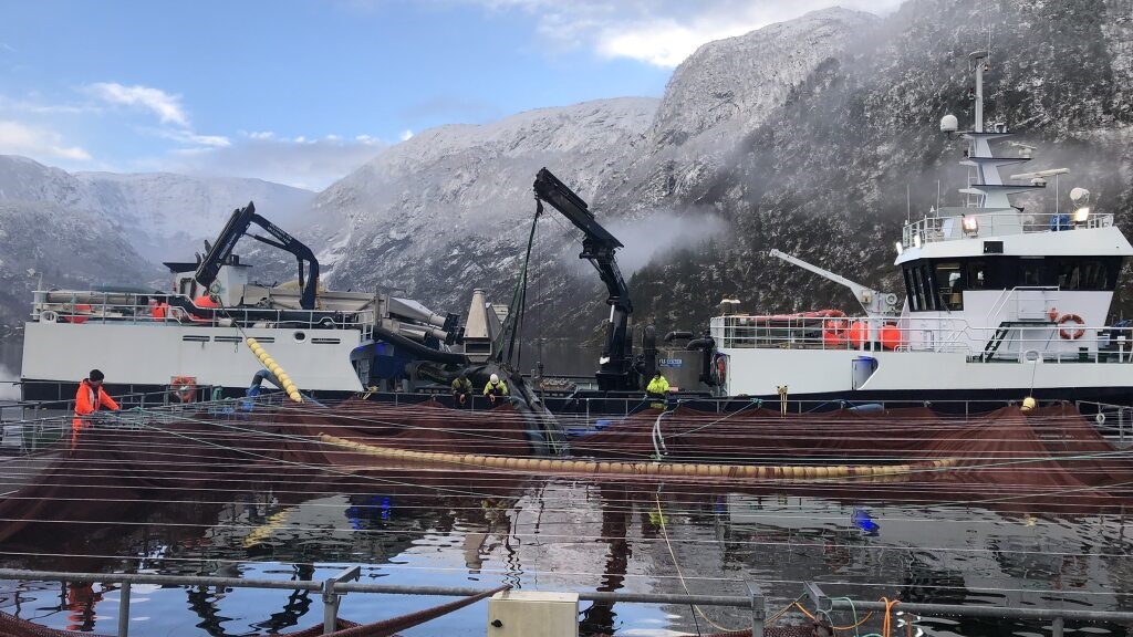 Bildet viser forskere som gjør lydmålinger av en brønnbåt som opererer vet et oppdrettsanlegg