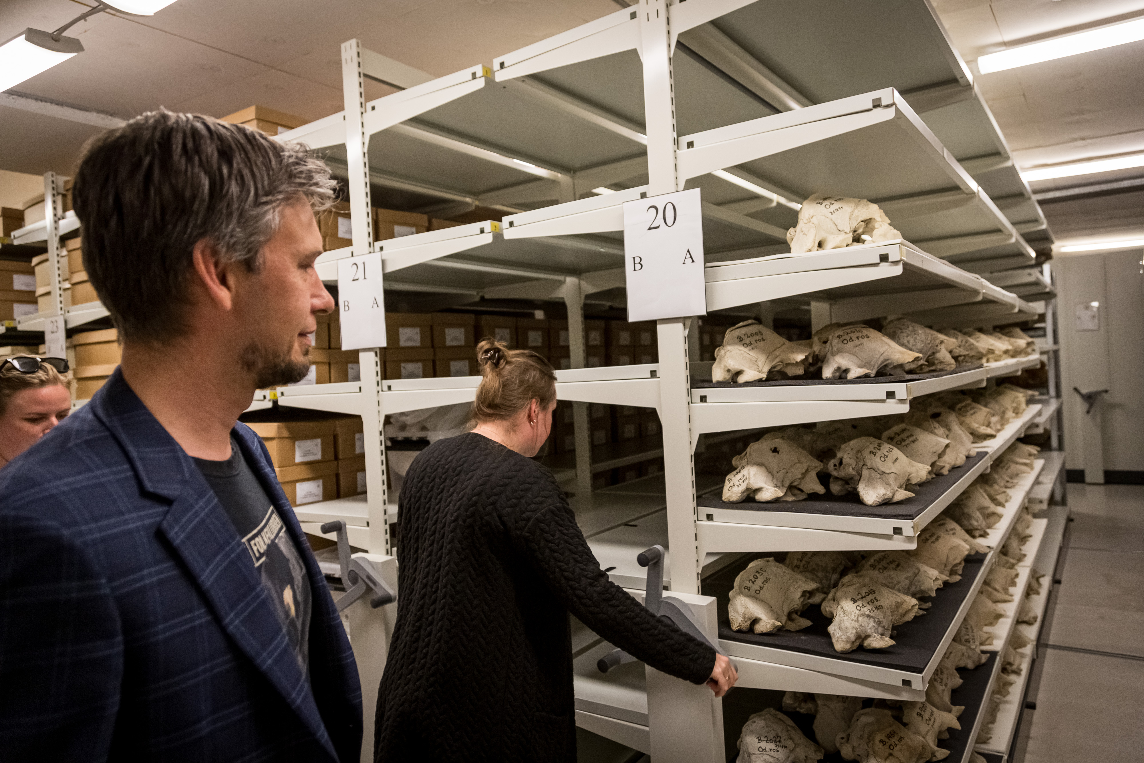 mann og kvinne ser på hyller med kranium