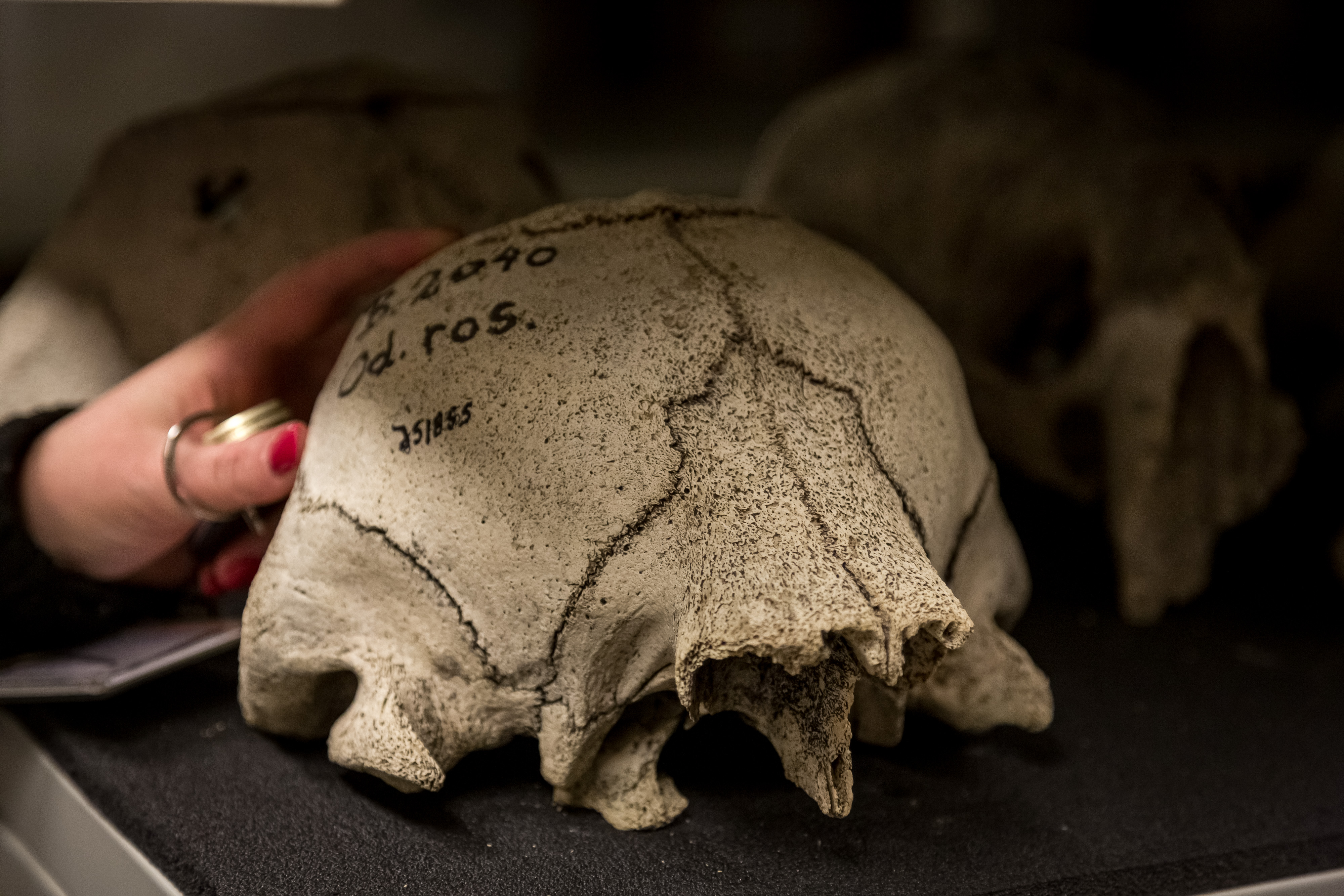 skalle med tusj-skrift på 