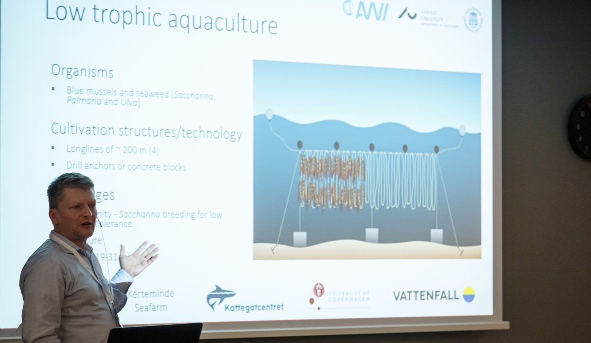 foto av mann foran presentasjon