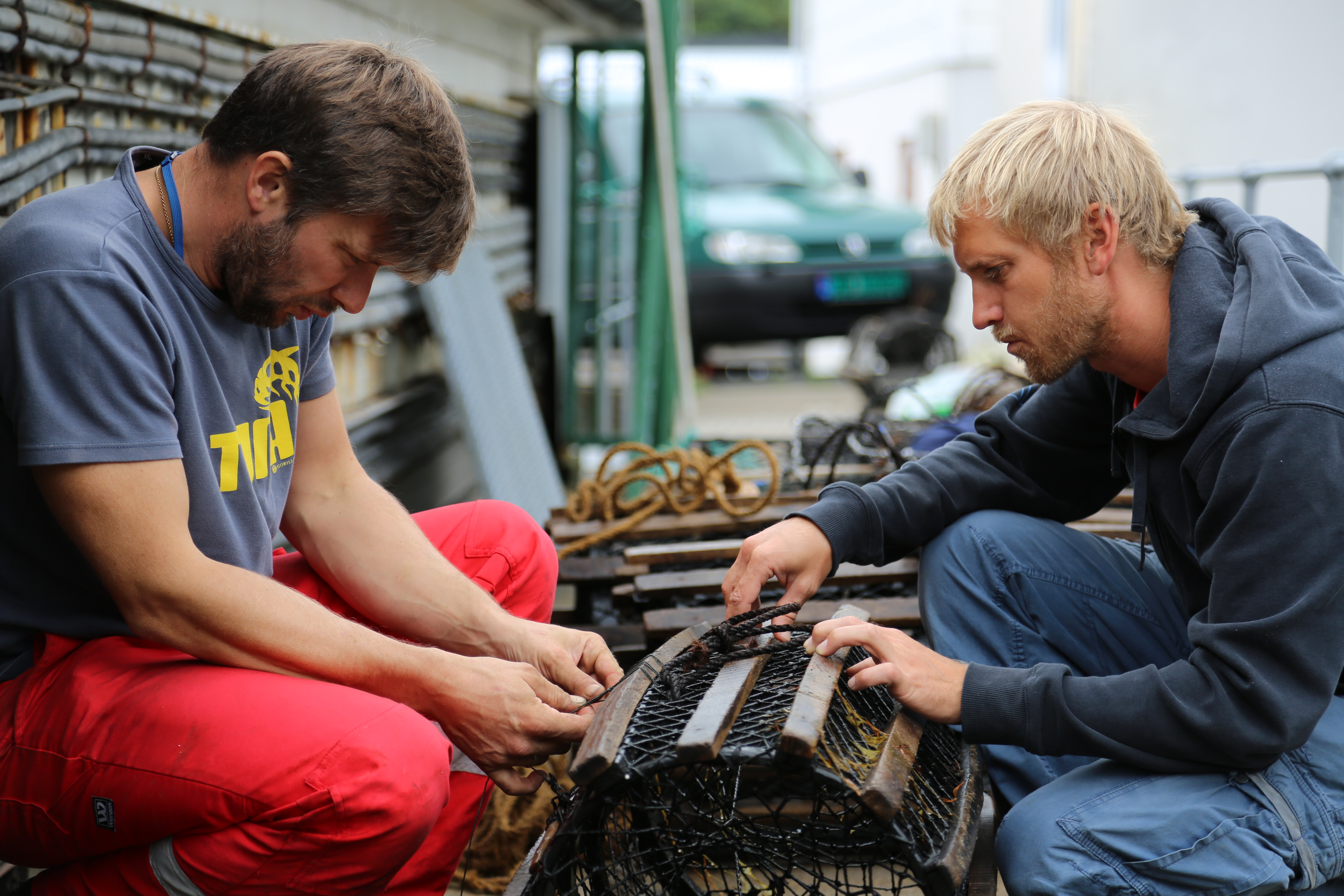 to menn med en hummerteine mellom seg 