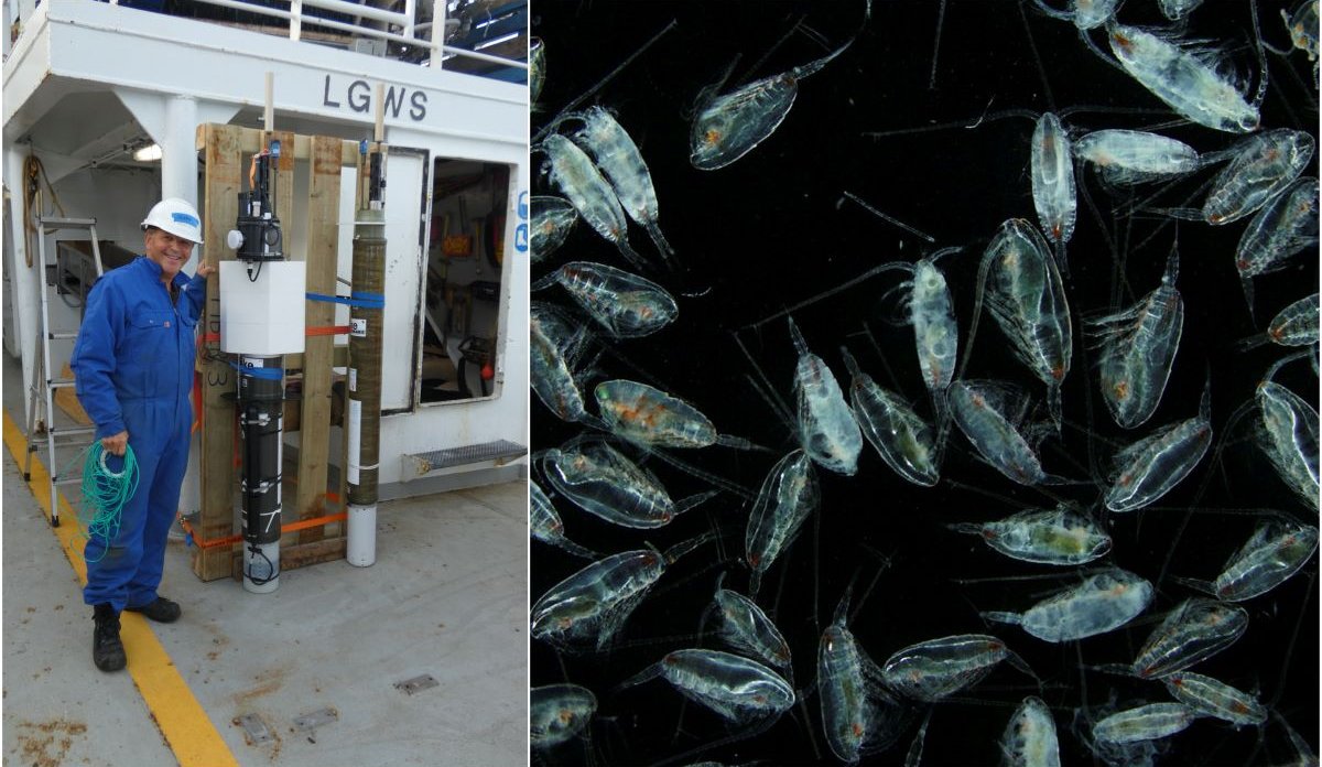 
Montasje av havforsker som viser frem Argo-bøye og bilder av raudåte