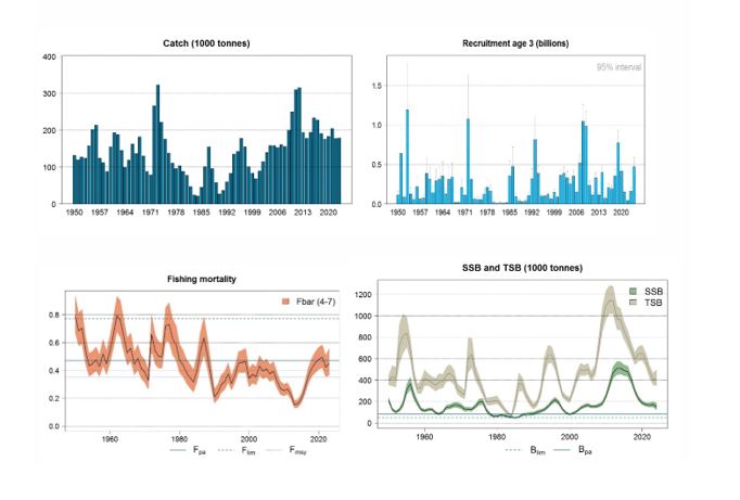 Figur som viser standardplott for NAH kvoteråd 2025