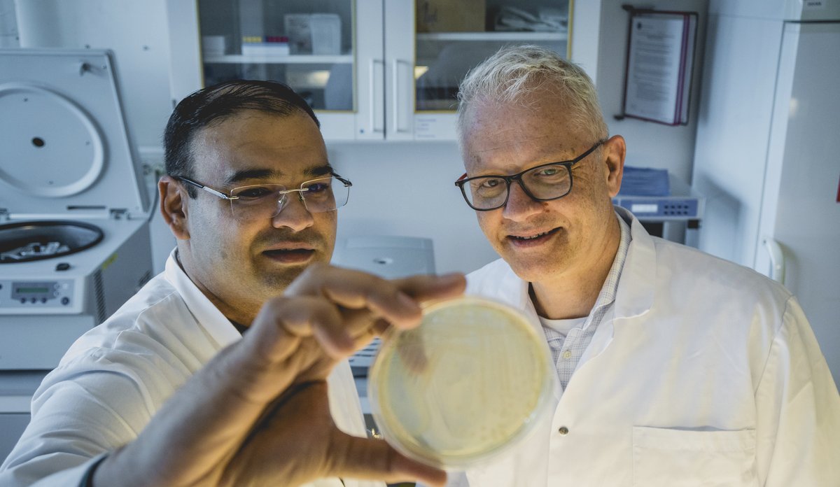 
Two men looking a petridish