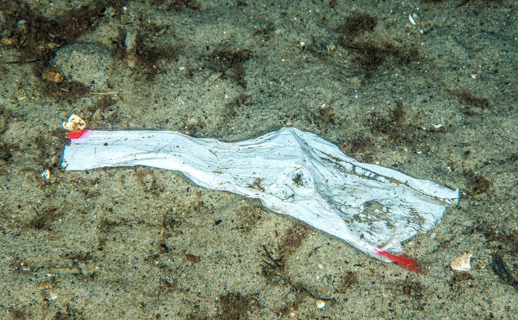 A photo of plastic waste on the sea bottom