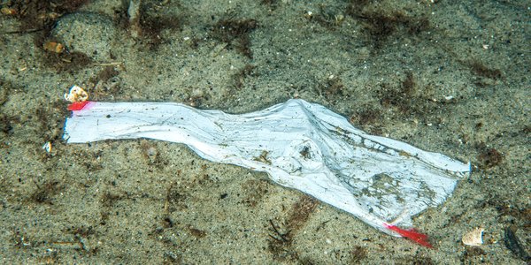 

A photo of plastic waste on the sea bottom
