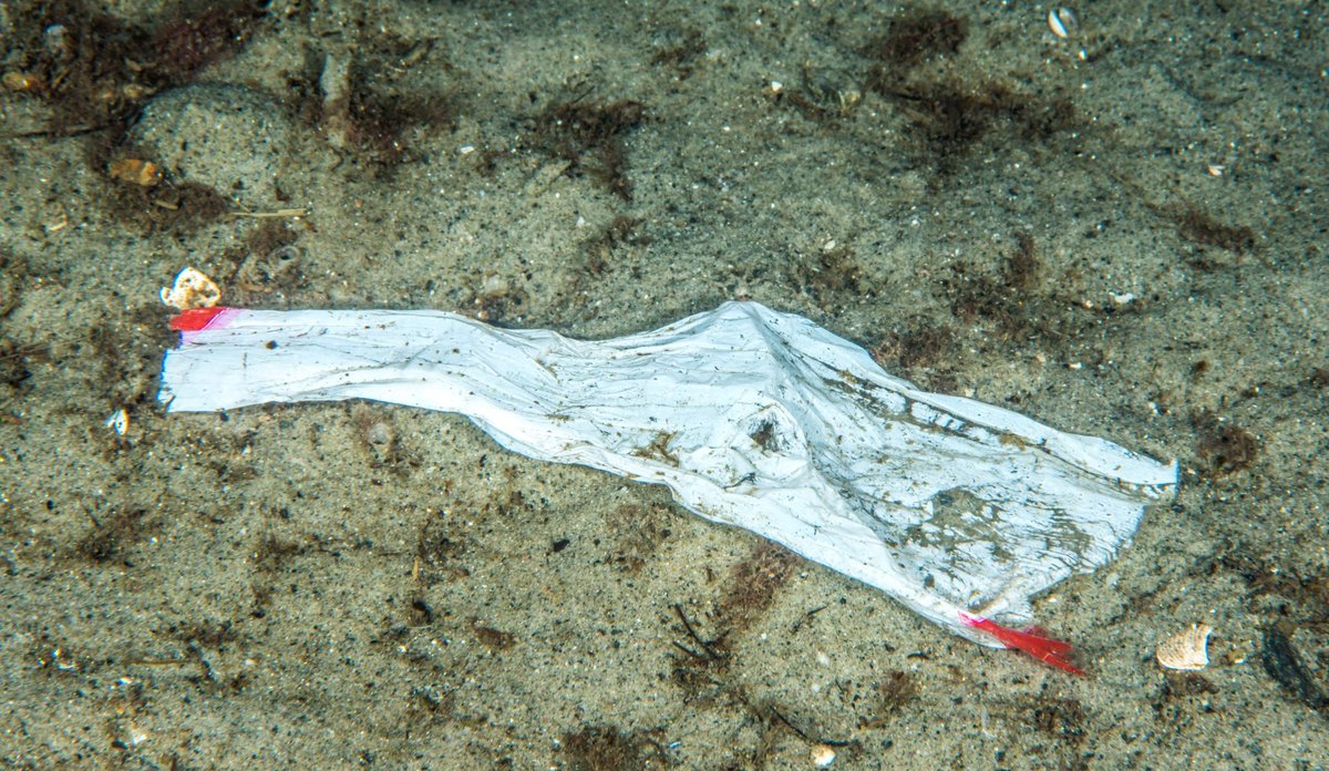 
plastsøppel på havbunnen