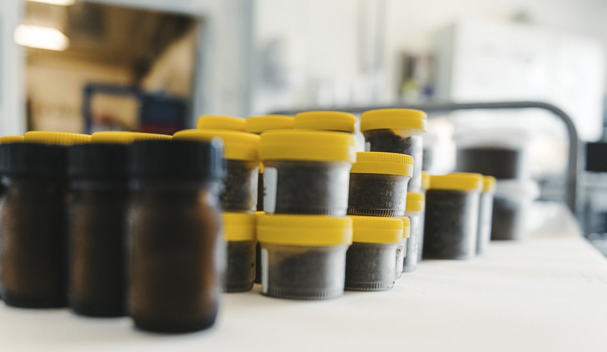 
Bilde av en rekke bokser med prøver av fiskefôr