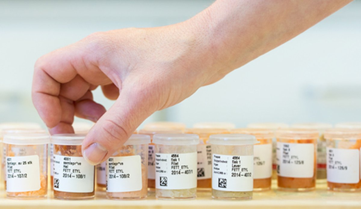 
Provebokser Eivind Senneset