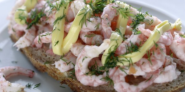 

Pent dandert ekesmørbrød med dill og majones på toppen