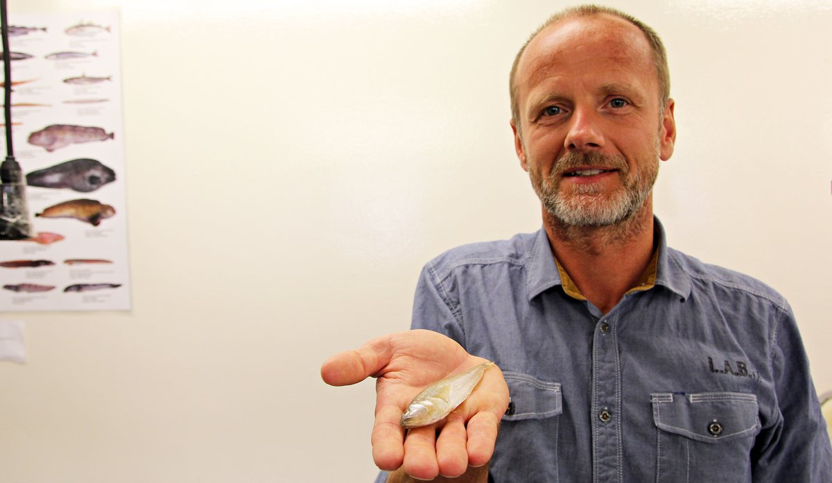 Rupert Wienerroither holder en liten dvergfjesing i hånden.