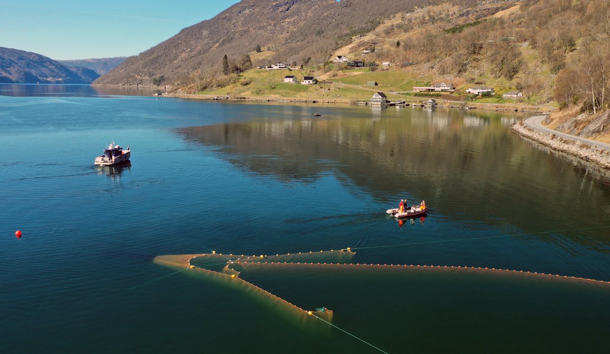 
Frå ein småbåt set forskingstekniknarar ut ei stor ruse i Etnefjorden. Båten Emmy Egidius ligg litt lenger ute på fjorden og følgjer med. I bakgrunnen ser ein nokre spreidde hus, og vêret er strålande.