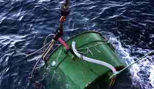 Silda settes ut, nett