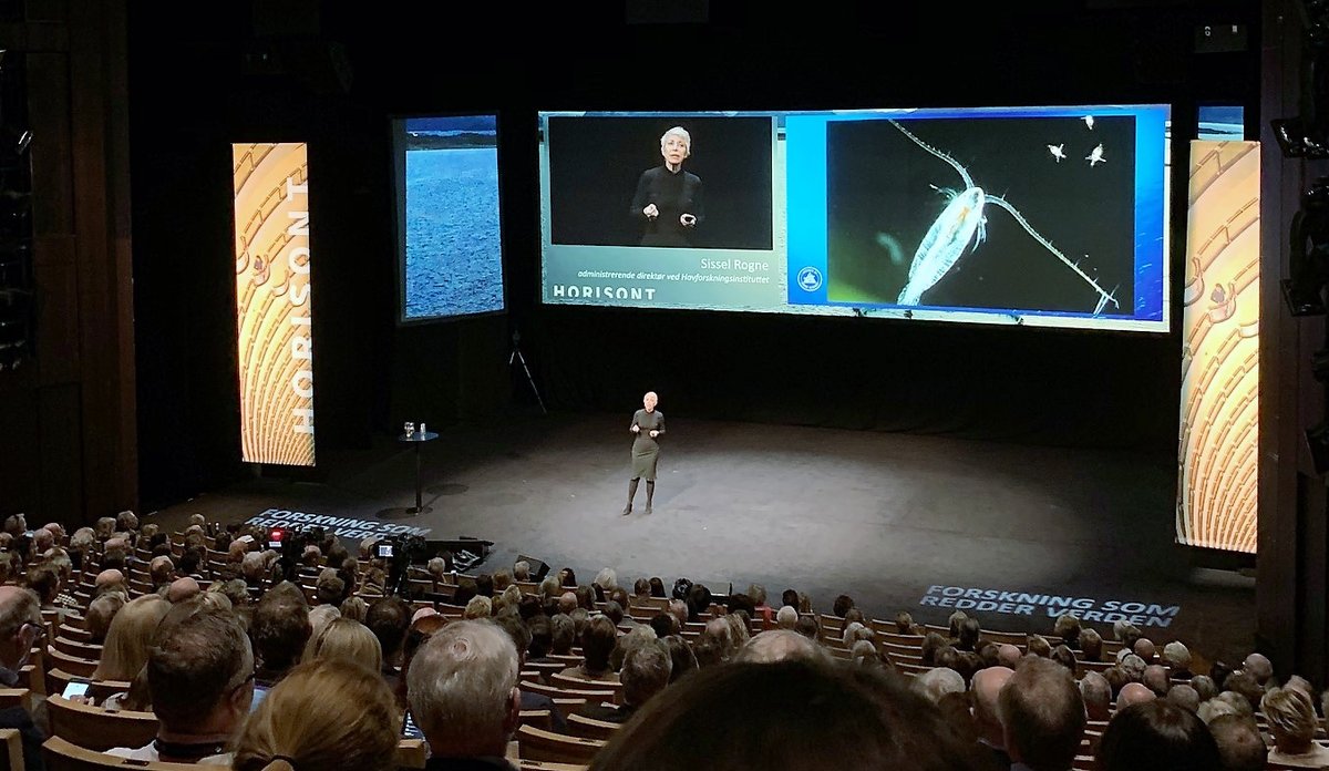 
Sissel Horisont MetteMila