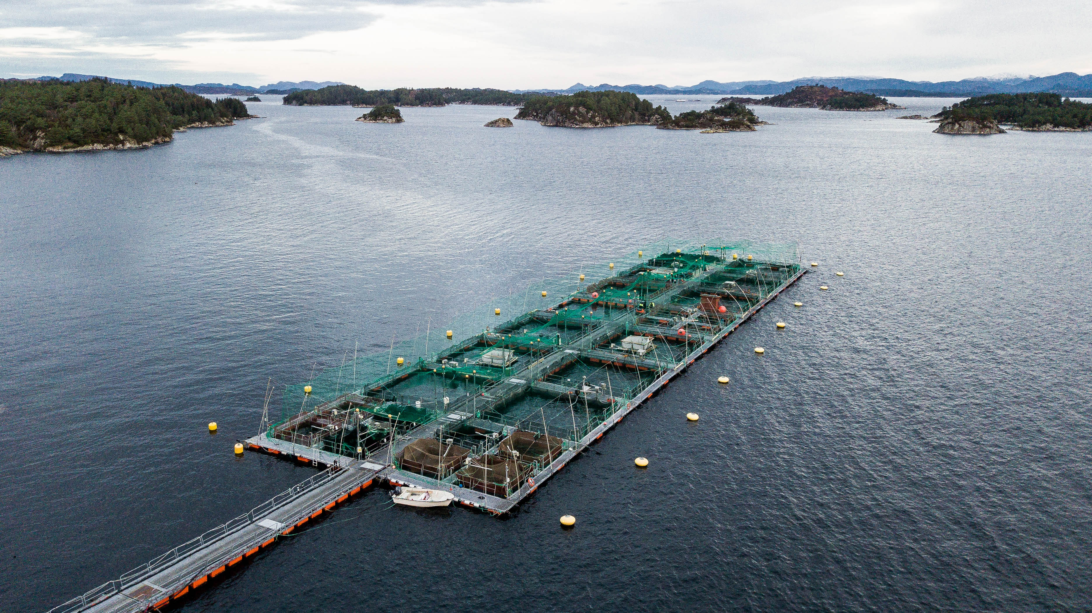 Sjøanlegget ved forskningsstasjon Austevoll med fjord og holmar i bakgrunnen.