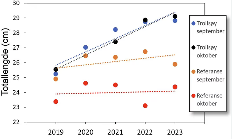 oversikt over totallengde for hummer