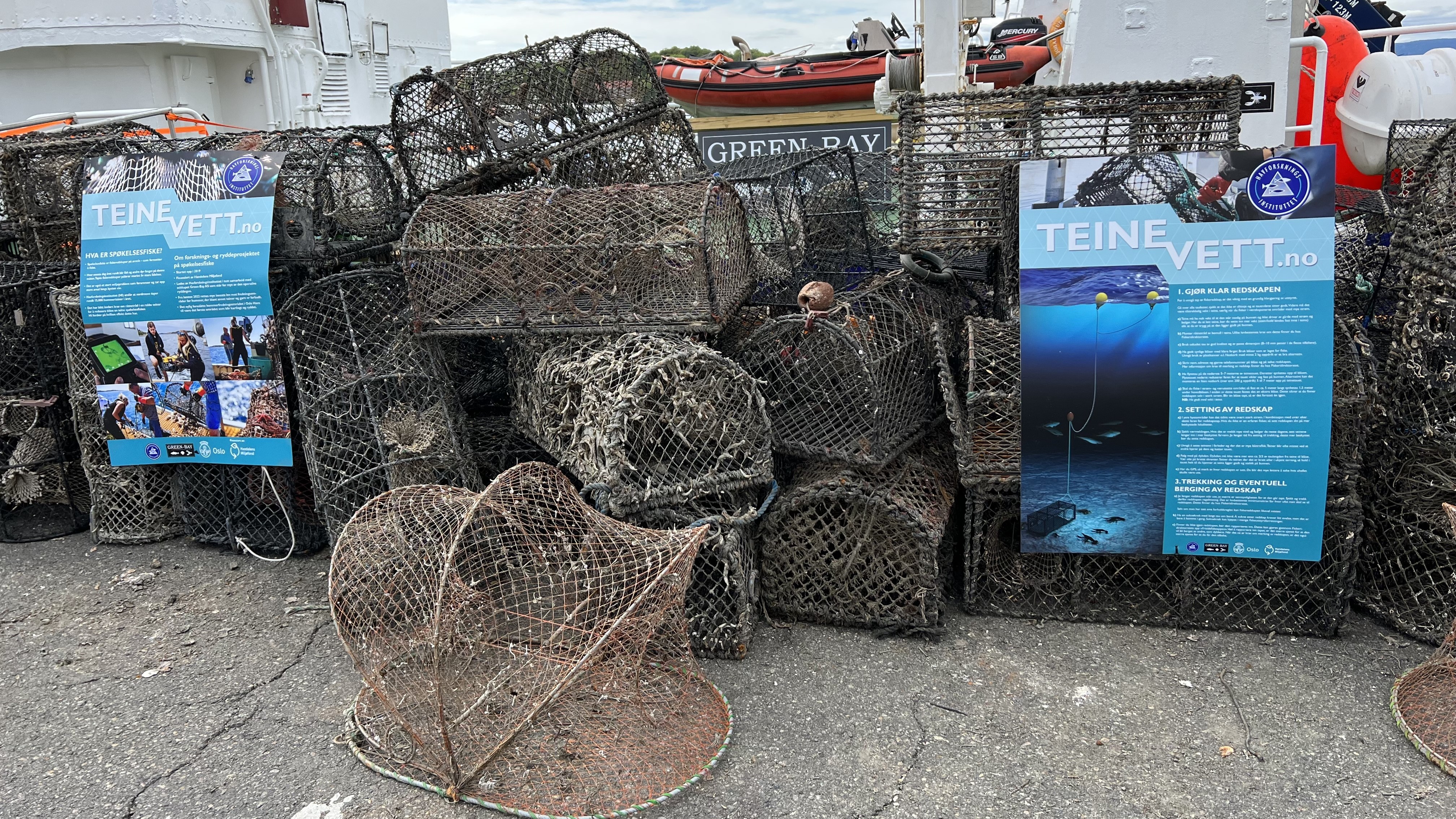 Foto av mange spøkelsesteiner som er hentet opp, sammen med logoen for teinevett-kampanjen.