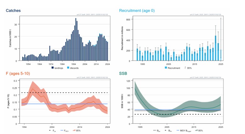 Figur som viser standardplott breiflabb 2026
