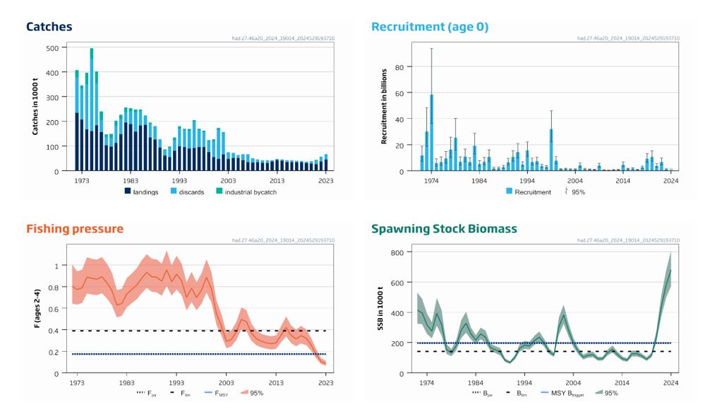 Figur som viser standardplott hyse 2025