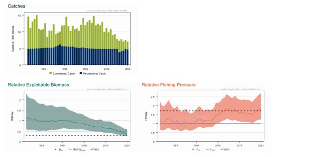Standardplott  kysttorsk mellom 62 og 67°N