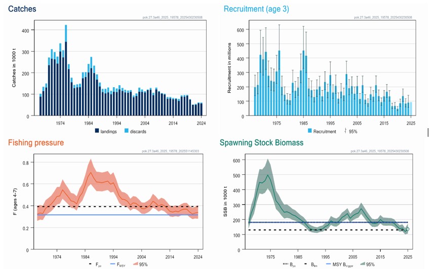 Figur som viser standardplott sei 2026