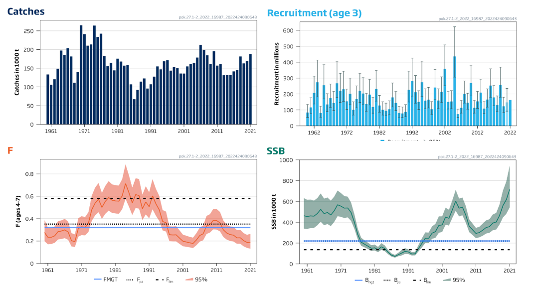 Standardplott nordøstarktisk sei