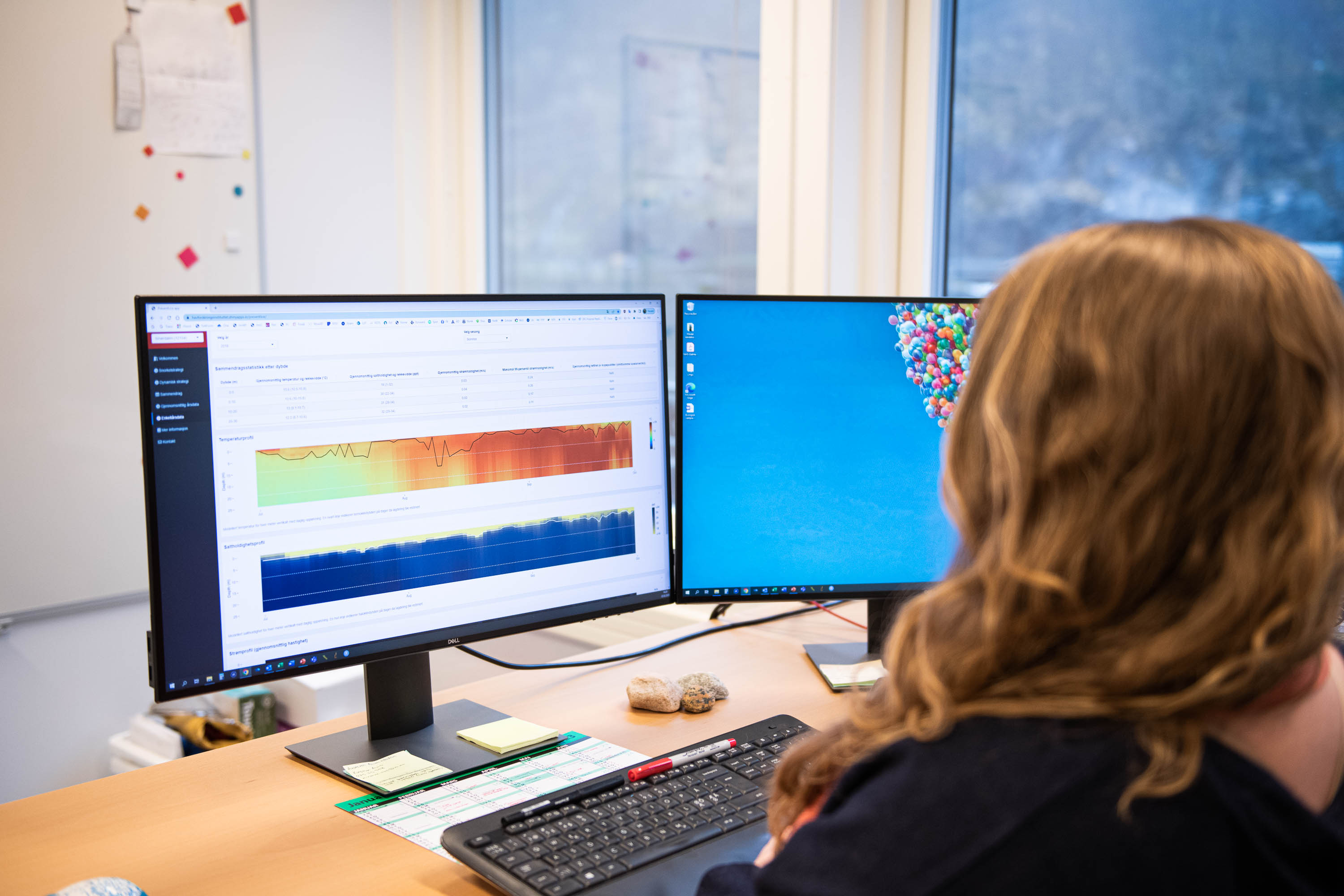 kvinne foran dataskjerm