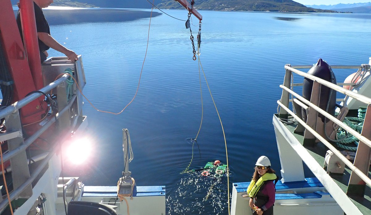 Utsikt fra broen og akterut på et fartøy.