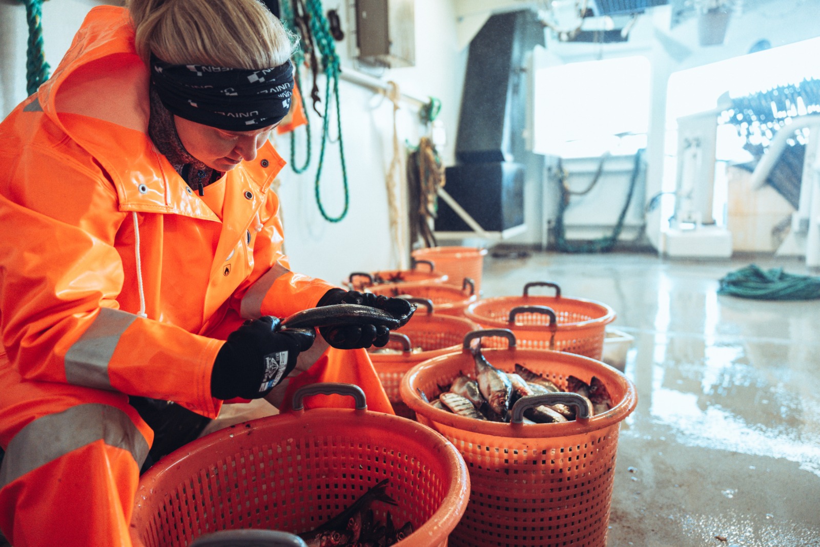 Kvinne i oransje arbeidsklær studerer sild mens hun sitter på dekk med oransje bøtter med fisk rundt seg.