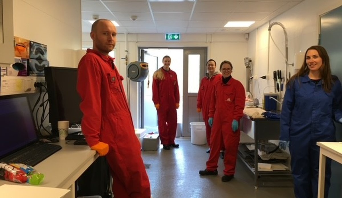 
Havforskere og marinbiologer på uttak