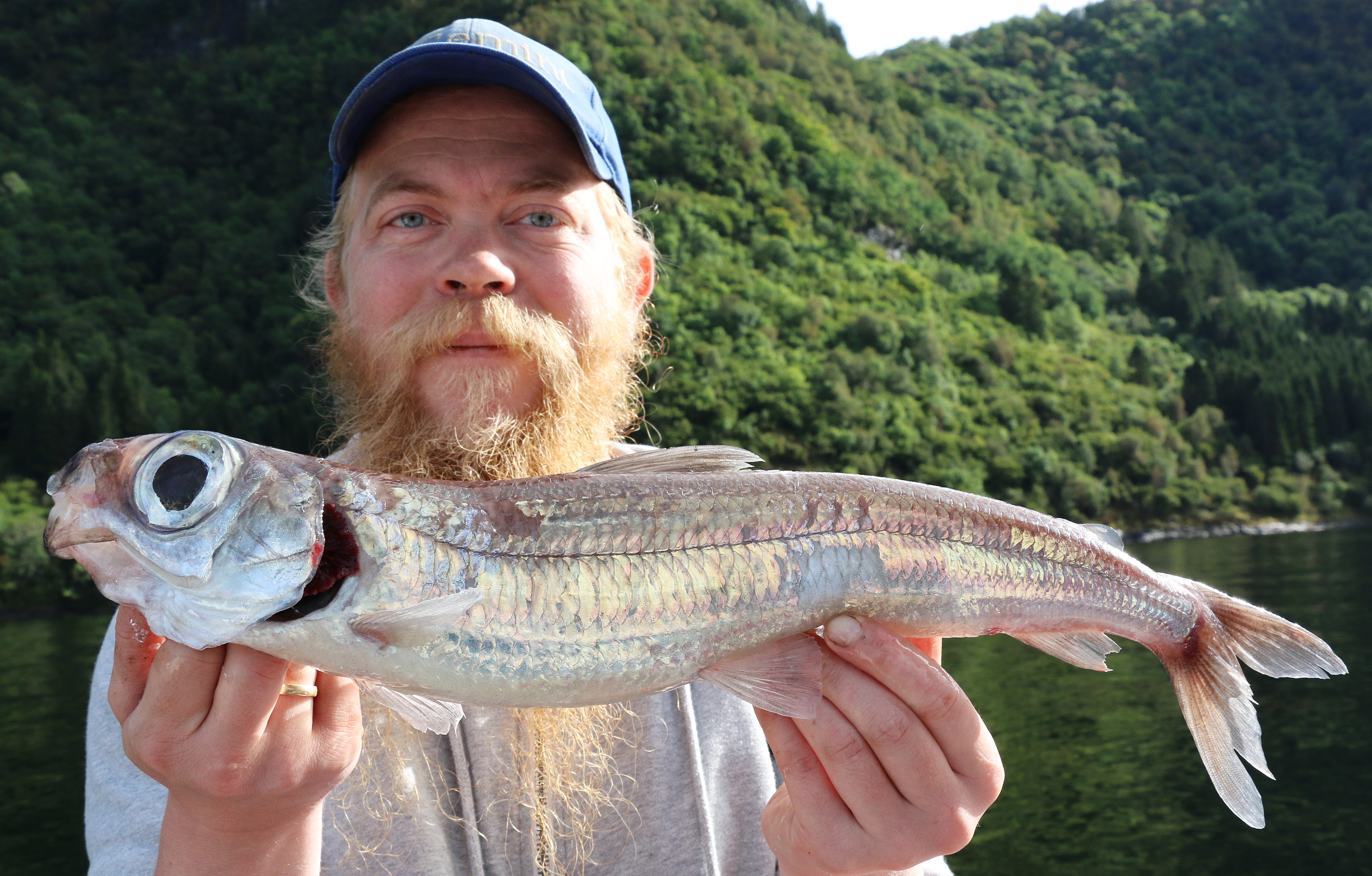 Mann med caps og skjegg holder sølvgrå fisk med store øyne foran kamera.