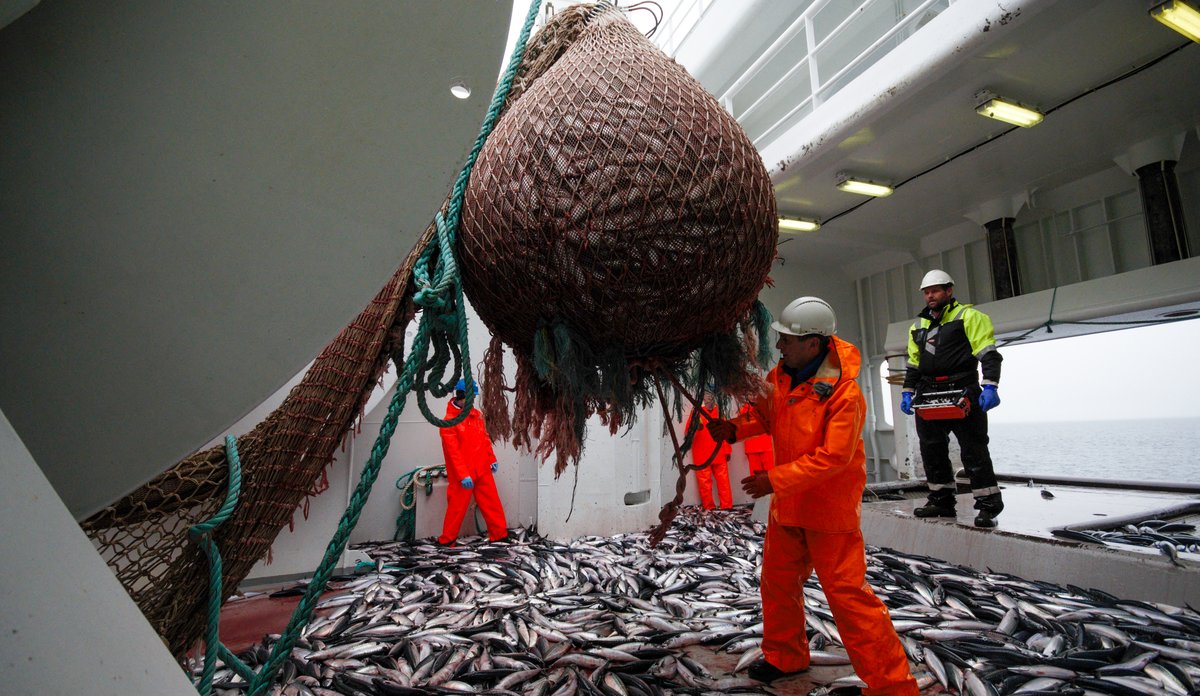 
Veiing av delprøve med 5