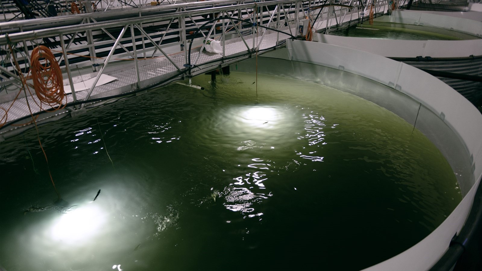 foto av kar med fisk i et landbasert oppdrettsanlegg