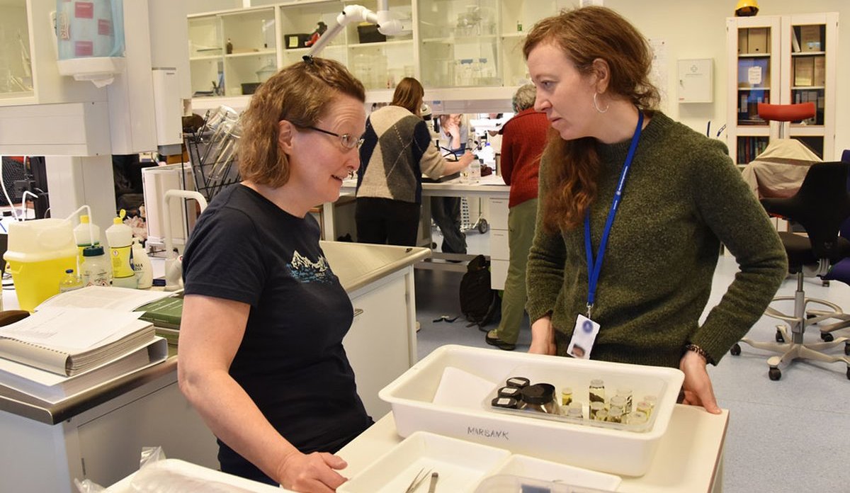 
To kvinner står og snakker sammen. Mellom seg har de en hvit plasboks med flere prøveglass i ulike størrelser.