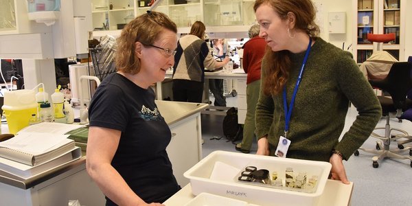 

To kvinner står og snakker sammen. Mellom seg har de en hvit plasboks med flere prøveglass i ulike størrelser.