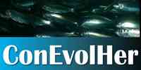 conevollher_600x300.jpg