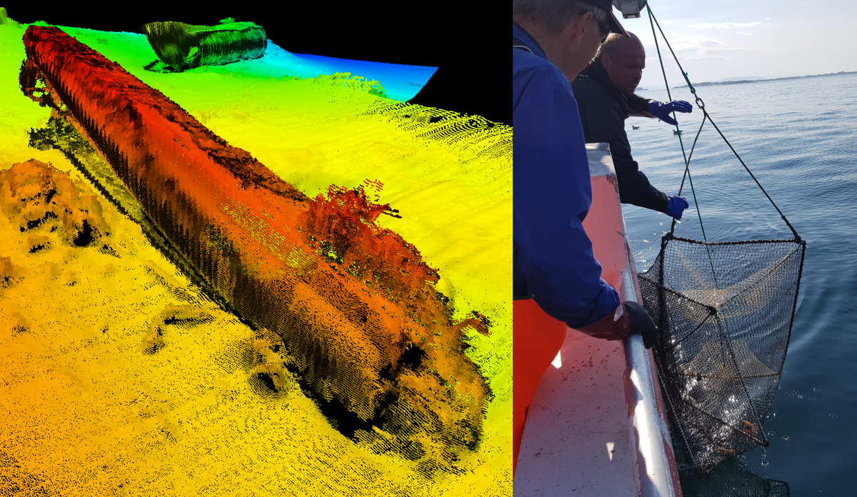 
illustrasjon av Fedje u-båten og en fisker som drar opp en havteine.