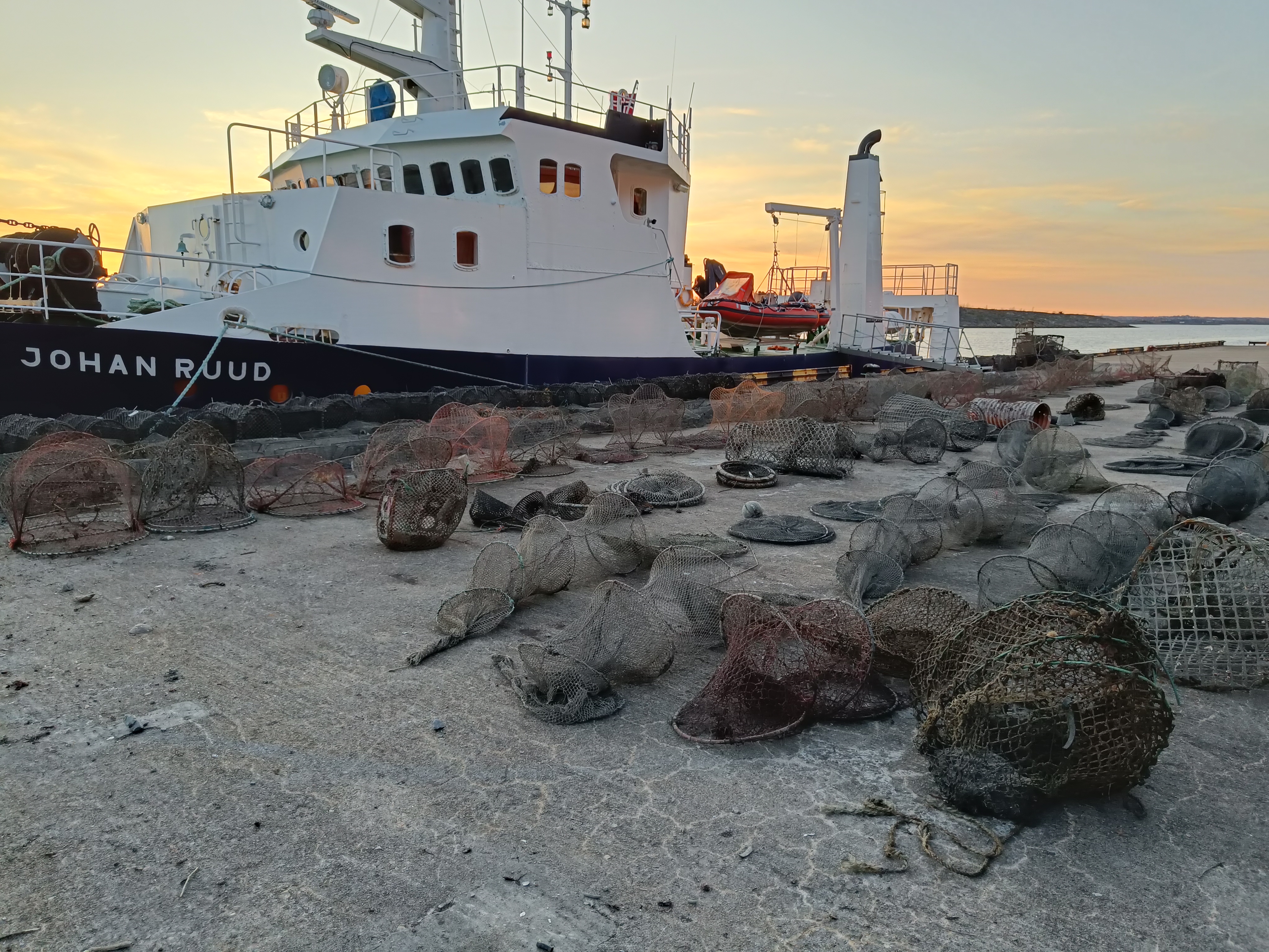 mange rekker med teiner på kaia med skip i bakgrunnen i solnedgang