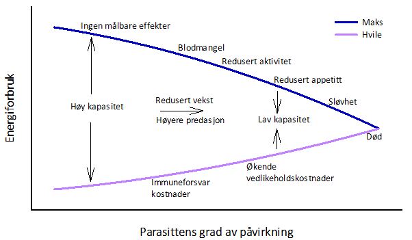 Diagram som viser hvordan økende påvirkning fra lakselus påvirker laks.