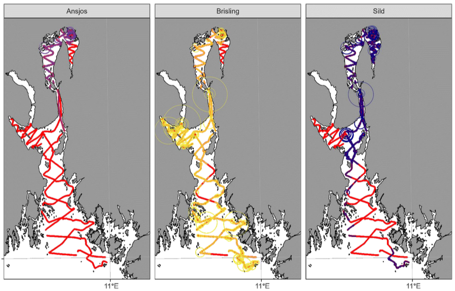 figur som viser streker på kart over oslofjorden
