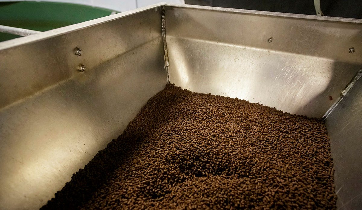 foto av fiskefôr i automat