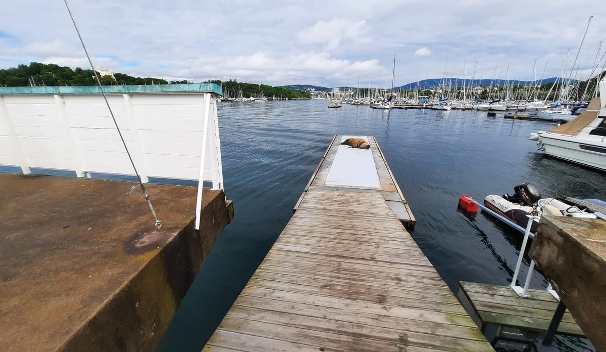 
freya i frognerkilen