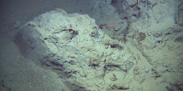 

Grunnfjell på havbunnen