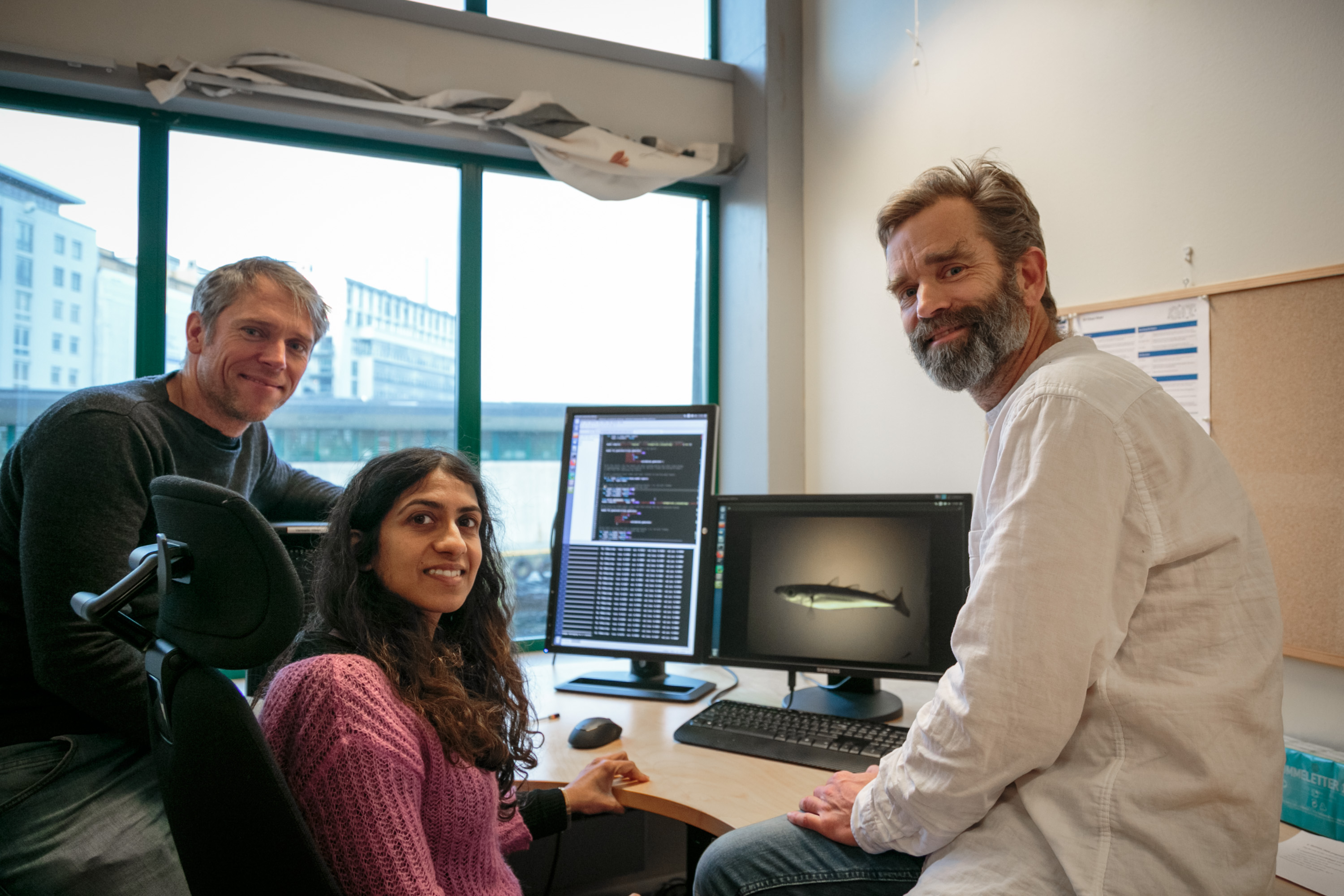 Nils Olav, Vaneeda og Ketil sit framfor ein pc, dei simler til kamera.