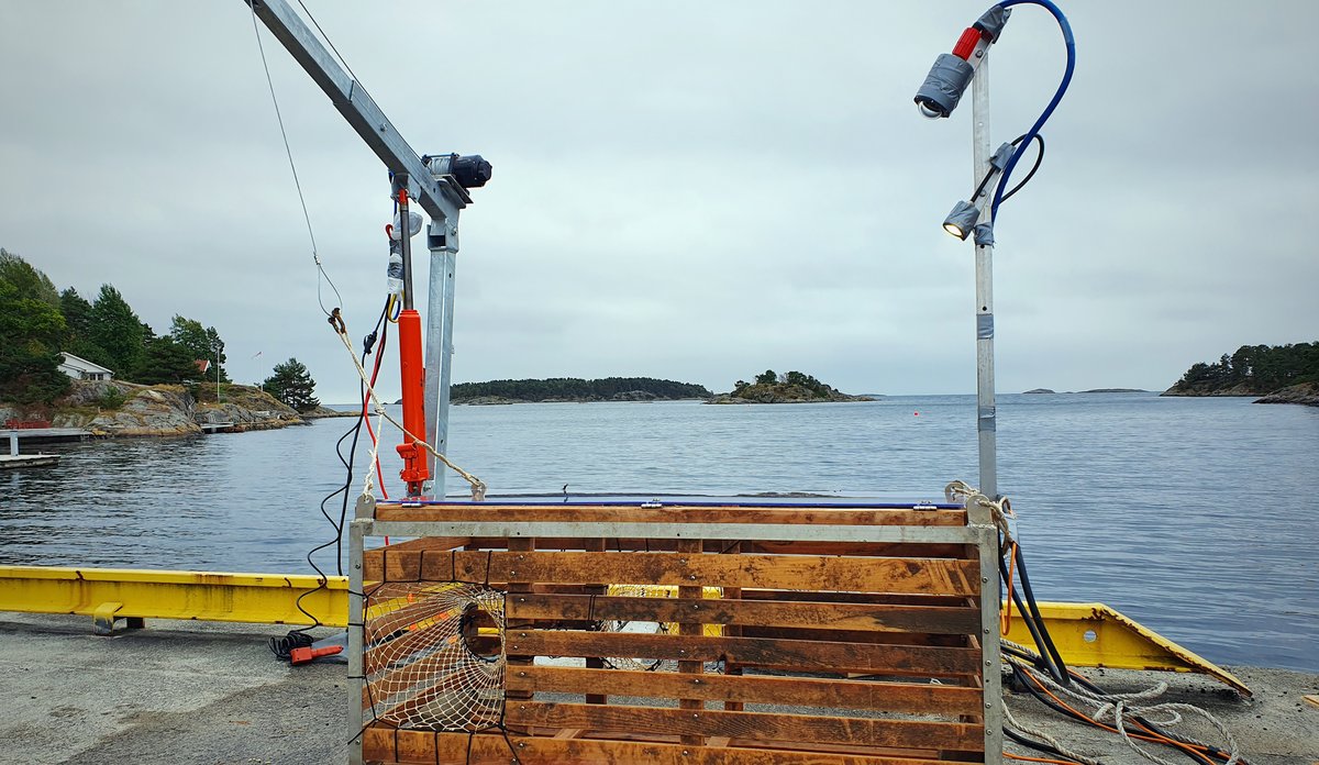 Hummerteine av tre på kaien med karn, lys og kamera.