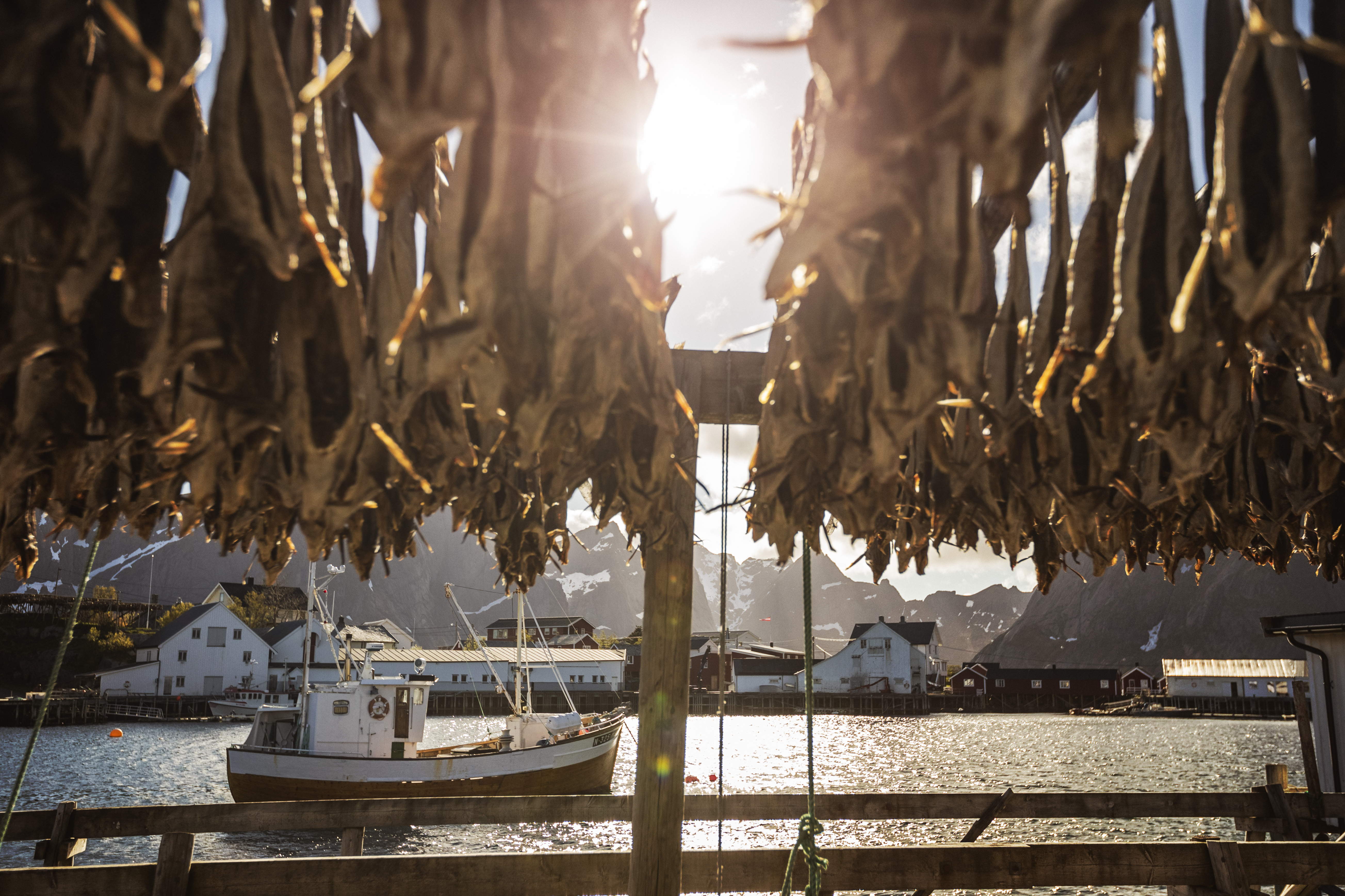 Fiskebåt på sjø med tørrfiskhjeller foran